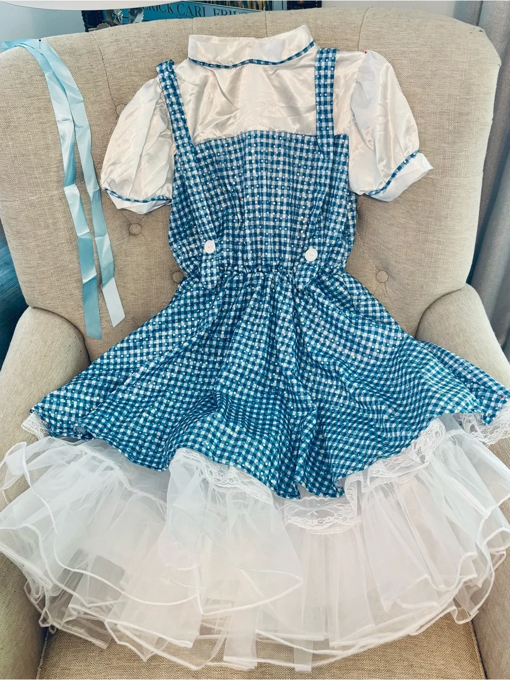 Wizard of Oz Blue Gingham Girls' Pinafore Costume with White Puff Sleeve Blouse